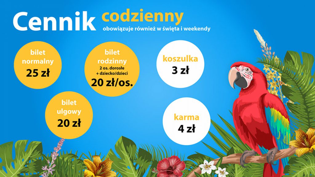 Cennik codzienny - Akademia Papug Papugarnia - Centrum Edukacyjne - Warszawa